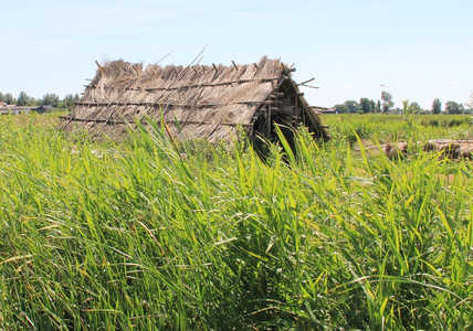 006728_ilperveld_langhuis_klaas_ros_-_2000.jpg